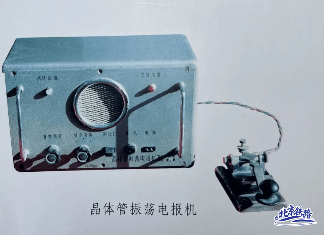 画眉鸟发电报声音,画眉鸟发电报声什么意思