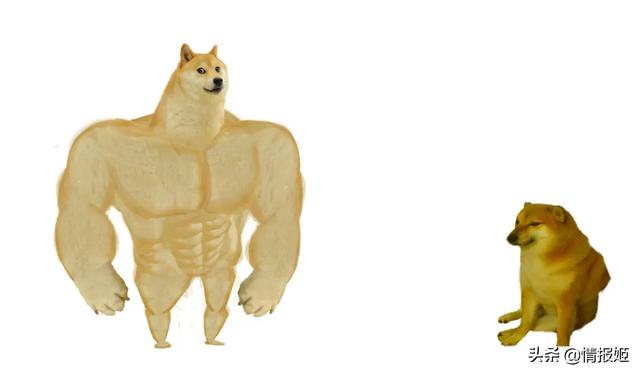 doge,男生发doge表情是什么意思