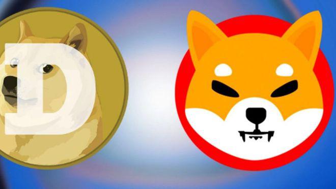 柴犬币值得长期持有吗,柴犬币值得长期持有吗为什么
