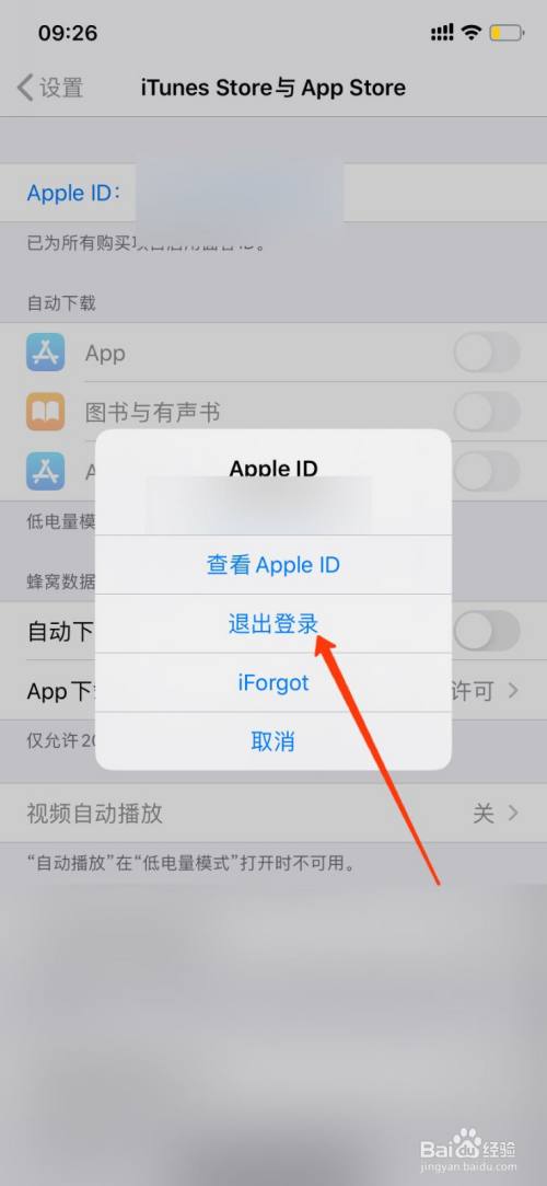 手机梯子加速器怎么用不了,手机梯子加速器怎么用不了网络