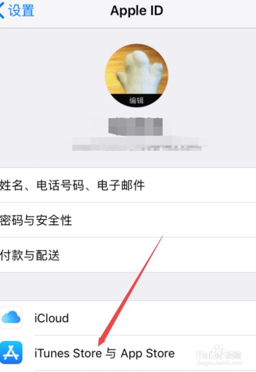 苹果不能下载盼之吗,苹果不能下载pp助手吗