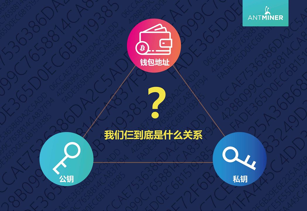 tb钱包怎么转账到比特派钱包上的下载卡号,tb钱包怎么转账到比特派钱包上的下载卡号不一样
