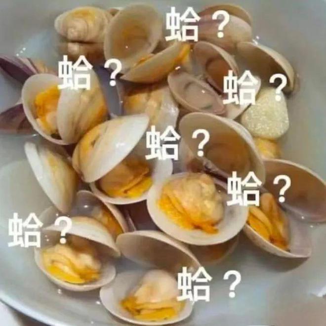 imtoken钱包客服怎么联系,客服热线4008009888