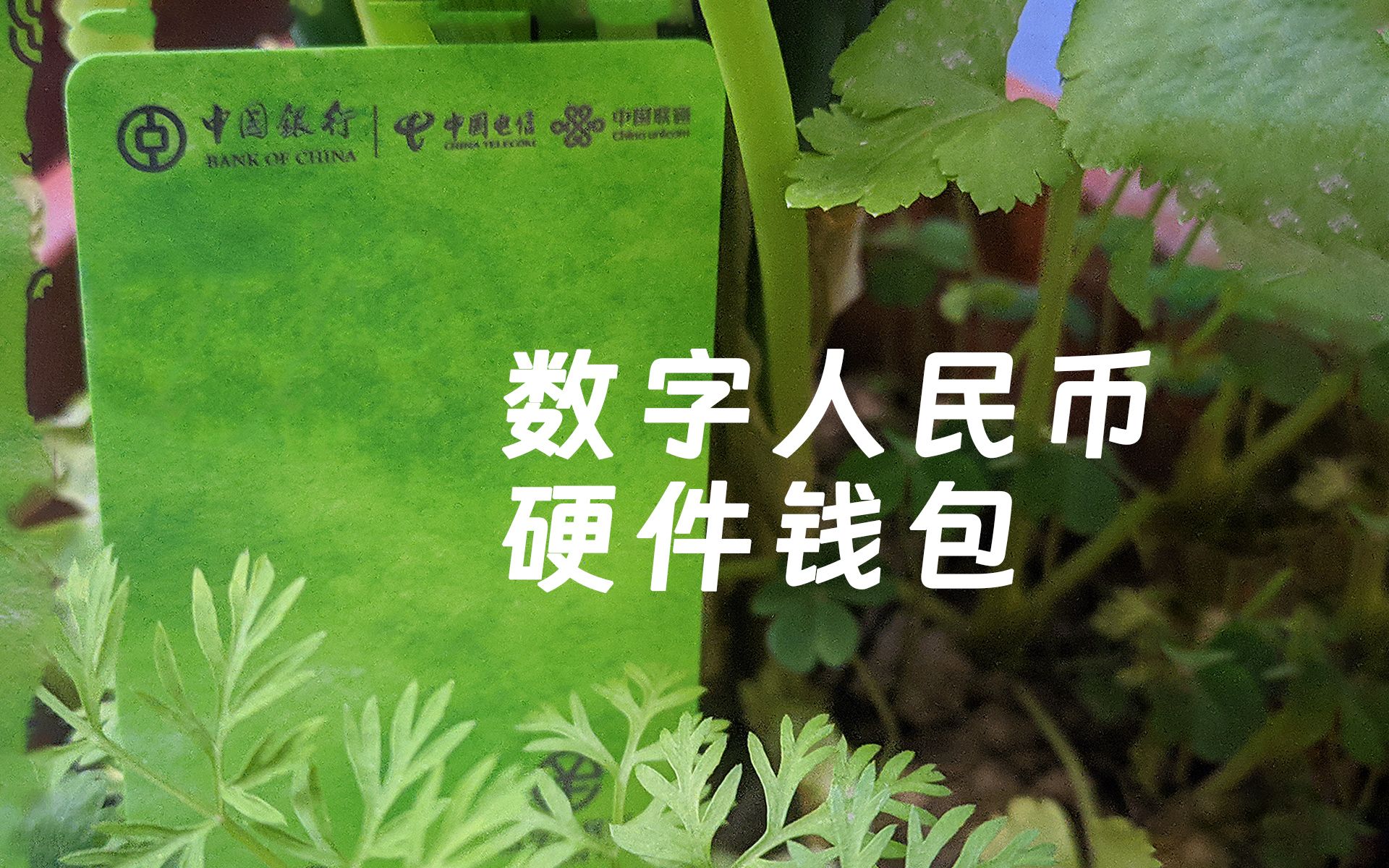 tokenpocket打不开薄饼,tokenpocket钱包如何提现