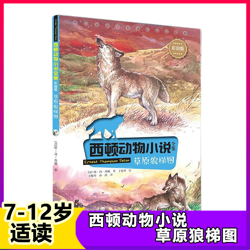 通过梯子访问国外网站,通过梯子访问国外网站有记录吗