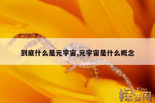 什么是元宇宙,什么是元宇宙虚拟展厅