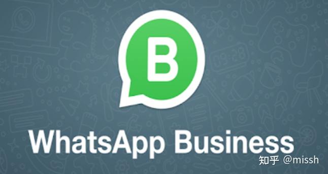 whatsappandroidapkdownload的简单介绍