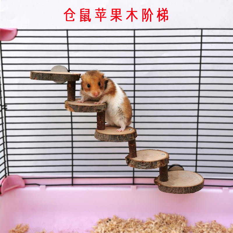 iPhone免费梯子,iPhone免费梯子软件