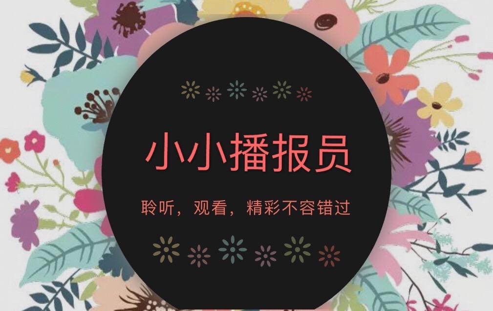 小小电报员,小小电报员大班社会