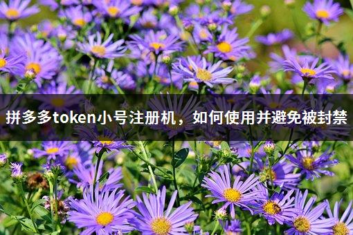 token小号批发,token小号怎么登陆