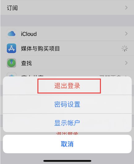 苹果手机下载skype为什么不能登录了,苹果手机下载skype为什么不能登录了呢