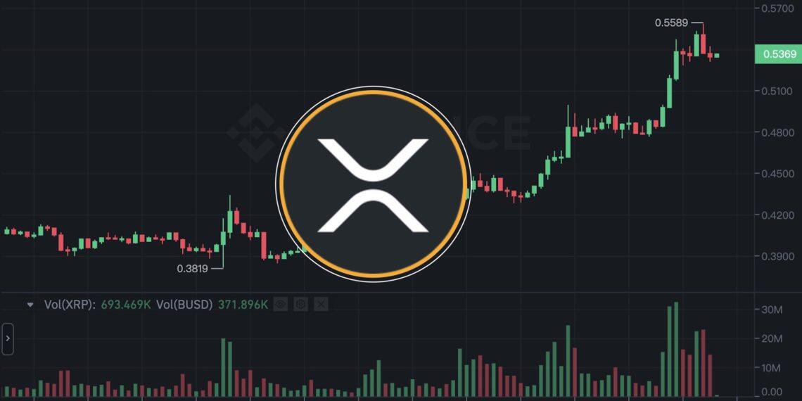 xrp瑞波币官网,xrp瑞波币官网app