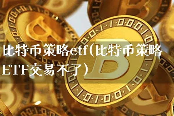 虚拟币etf指什么,虚拟币etf指什么行业