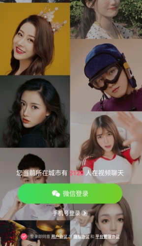ins加速器,ins加速器小牛
