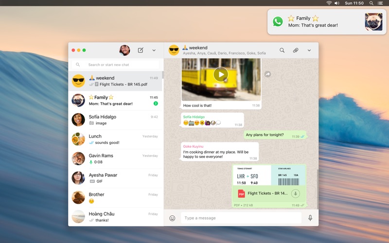 whatsapp官网下载,whatsapp官网下载ios