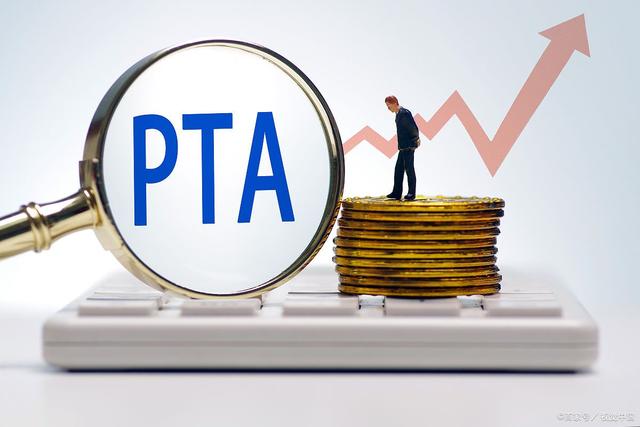 pta在哪个交易所交易-pta交易需要10万资金吗