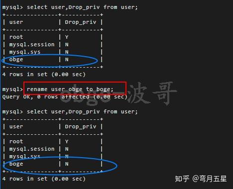 revoke语句-revoke语句在SQL的用法