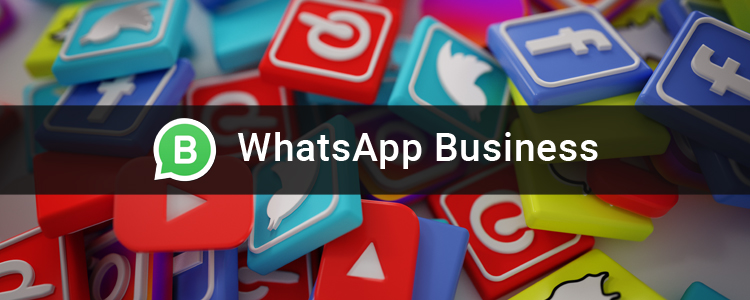whatsappapplicationdownload的简单介绍