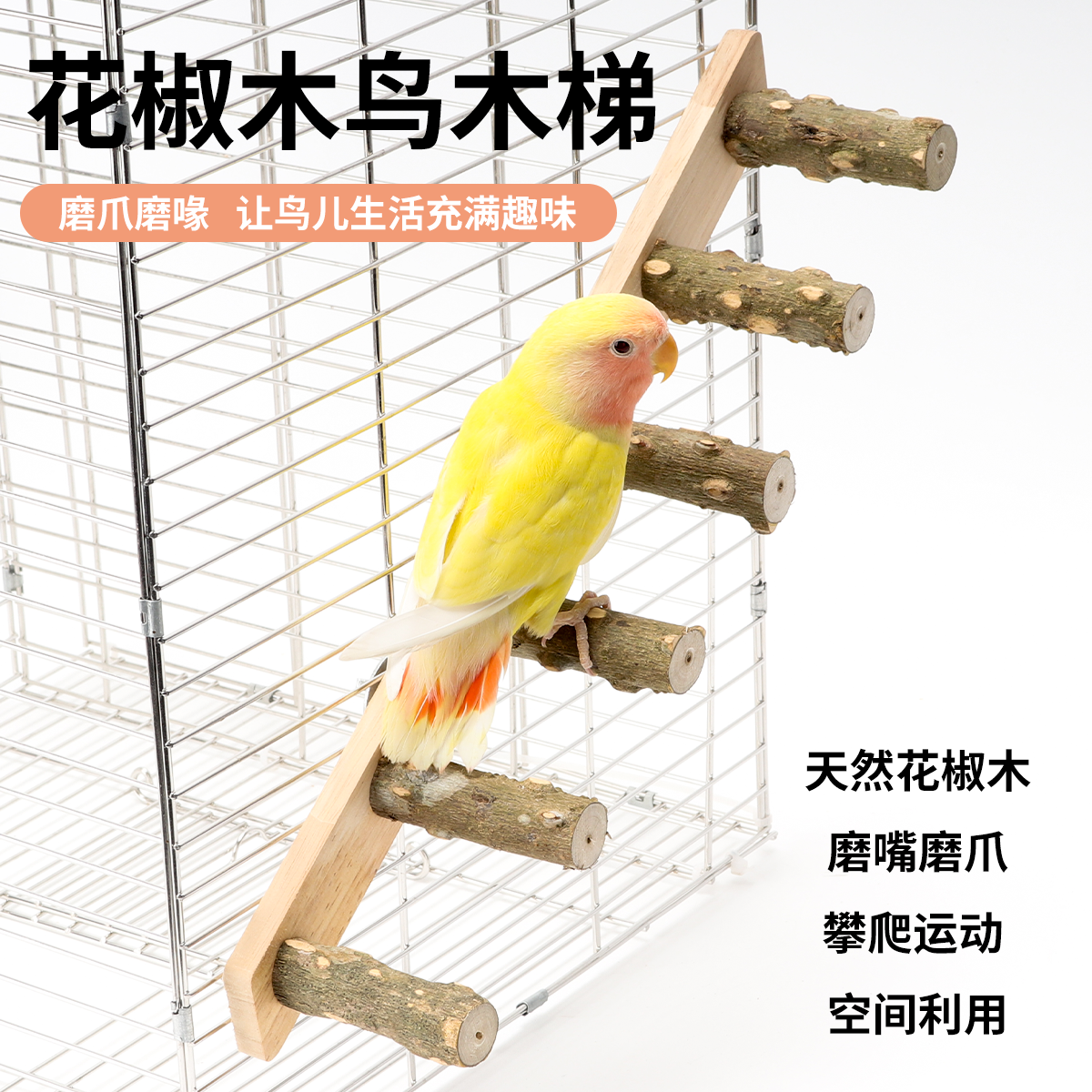 梯子游戏平台-梯子游戏平台网址