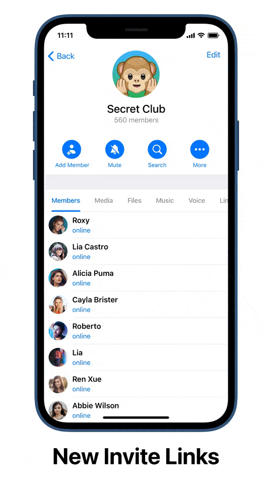 telegeram另一个版本-telegram downloader