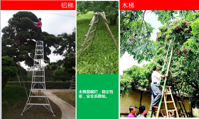 果树修剪时用的梯子-园林树木修剪专用梯子