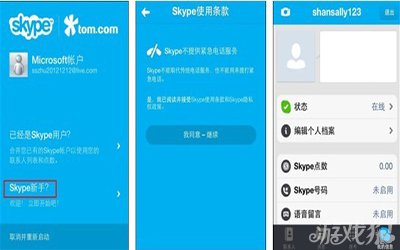 skype中文什么意思-skype中文是什么意思