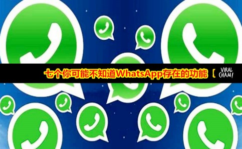 whatsapp安卓加好友教程-安卓版本whatsapp怎么加人