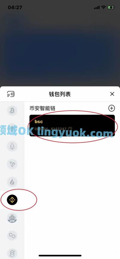 tokenpocket钱包官网下载-tokenbetter官网下载app