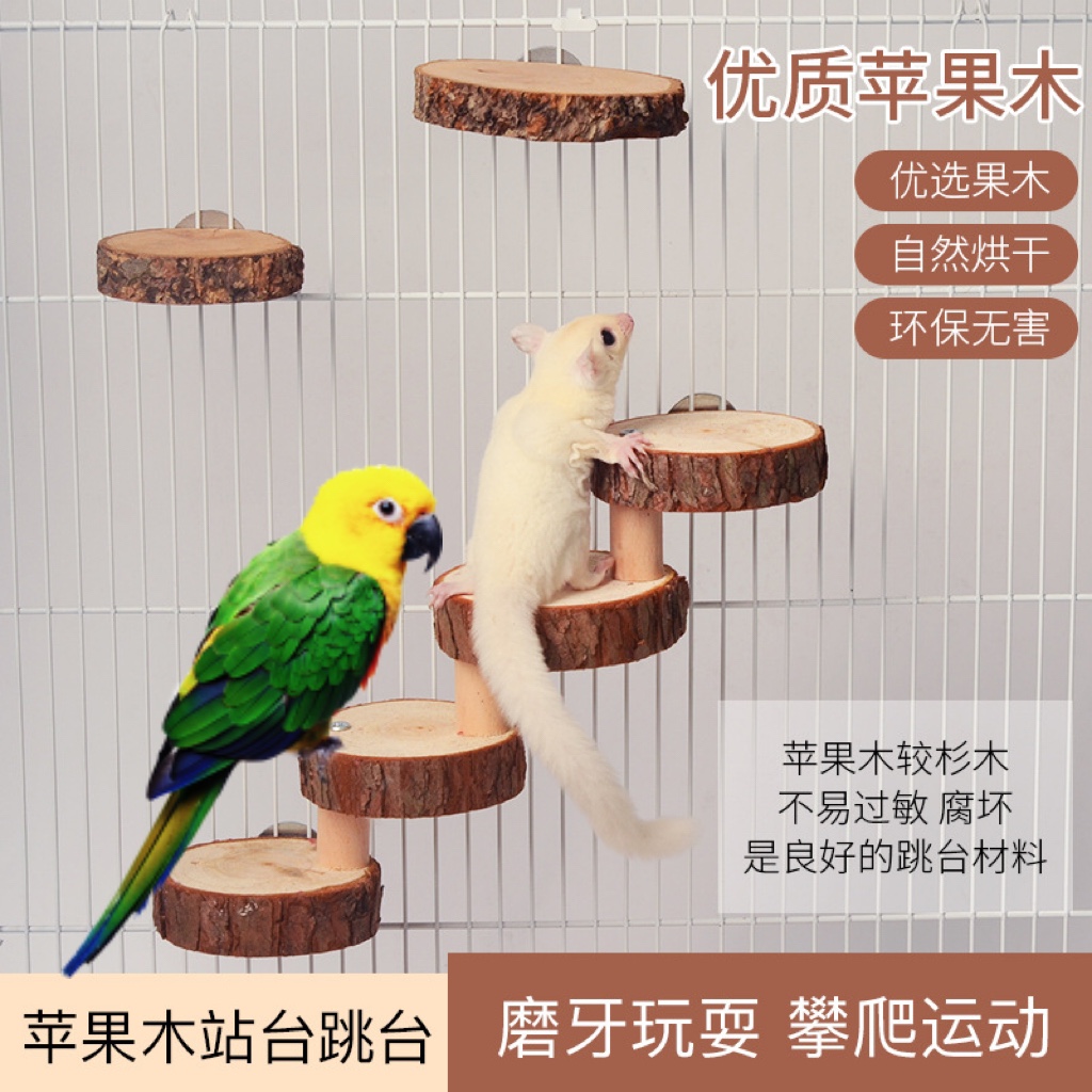 苹果免费的梯子软件有哪些-苹果免费的梯子软件有哪些好用