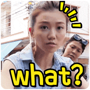 what-whatsapp官网
