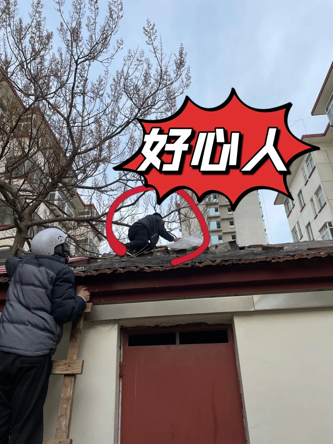 借梯子的图片-借梯子的图片搞笑