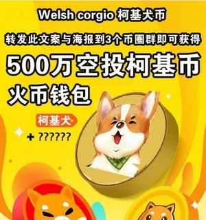 狗狗币钱包有中文版吗-狗狗币钱包110版本里的币不见了