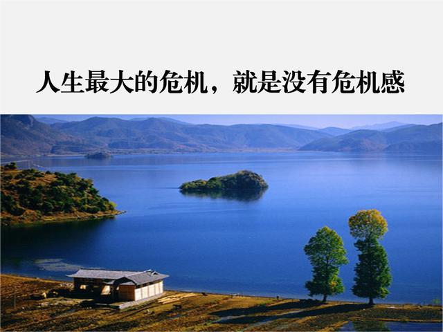 ledger如果倒闭了-ledger倒闭了怎么办