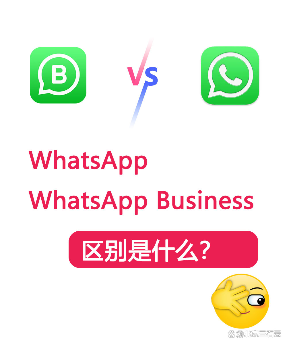whatsappbusiness安卓版下载-whatsappbusiness安卓下载安装