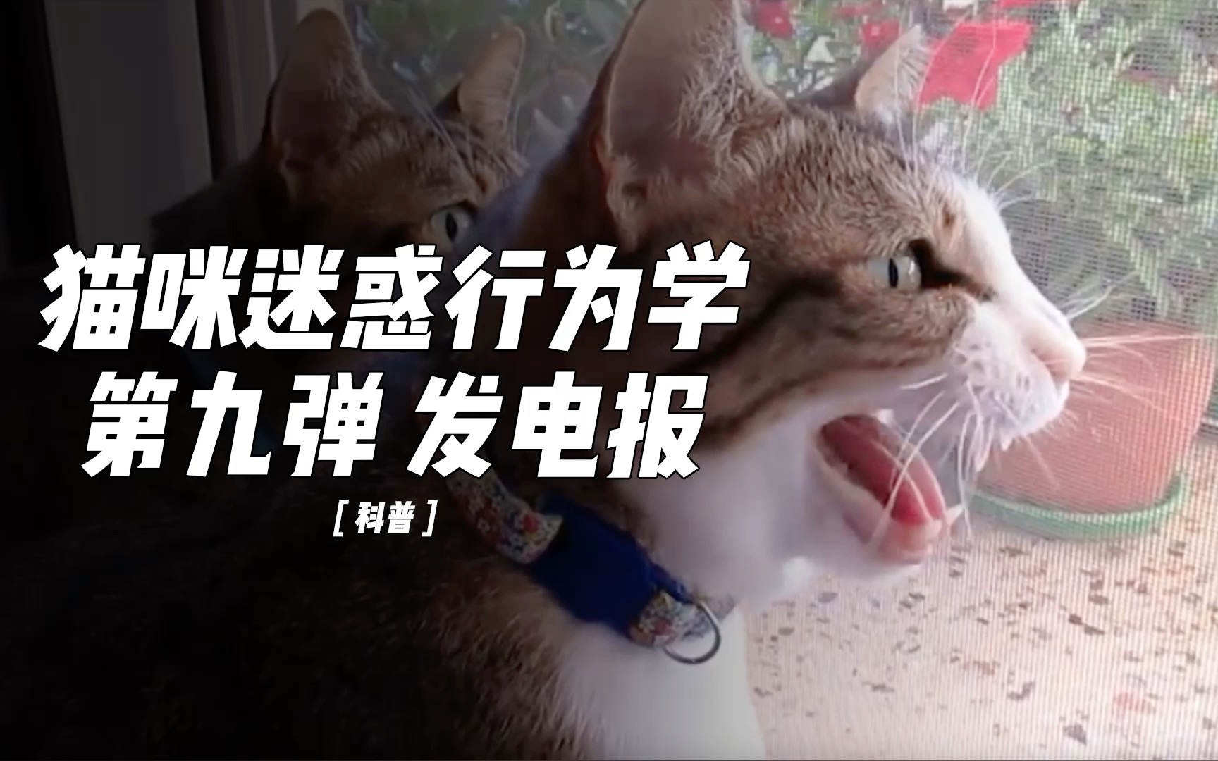电报是怎么发出去的-电报是用什么原理发出去了
