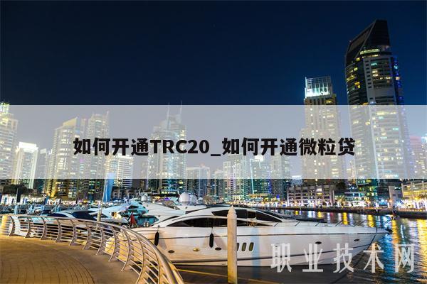 trc20支付-trc20支付 usdt