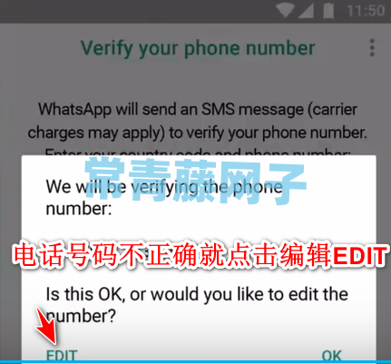 whatsapp为什么收不到短信-whatsapp收不到短信验证码怎么解决