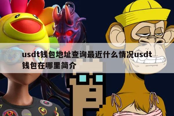 usdt钱包哪个好用-usdt存在钱包哪个种类里