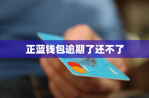最新钱包金融-钱包金融最新兑付公告