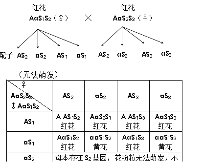 as1和as2-as1和as2在财务报表只能够啥意思