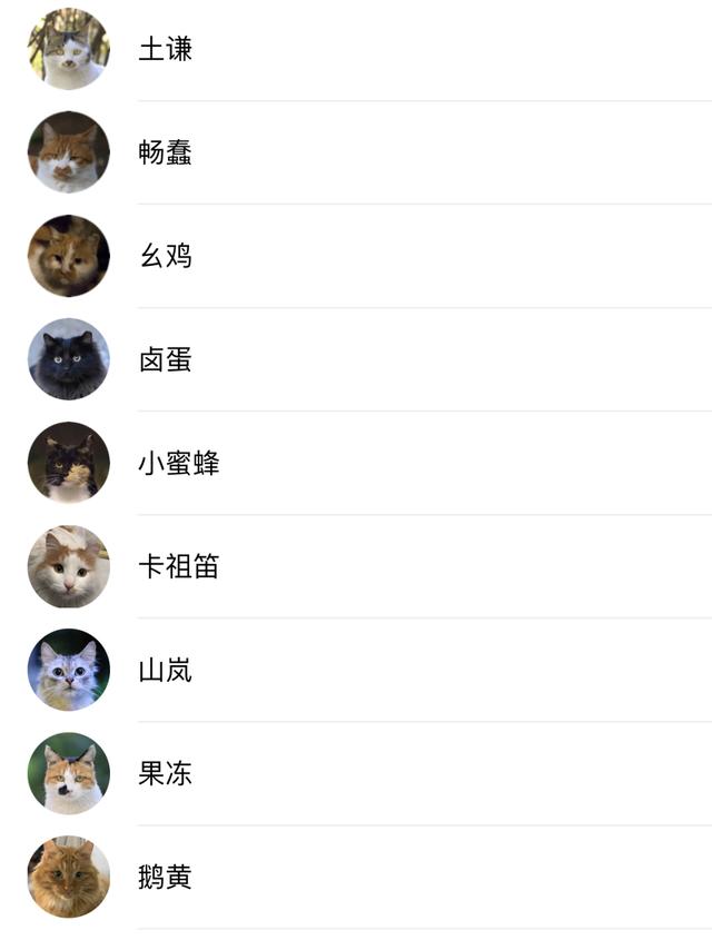 猫咪社区官网址一-猫咪社区官方网站是多少