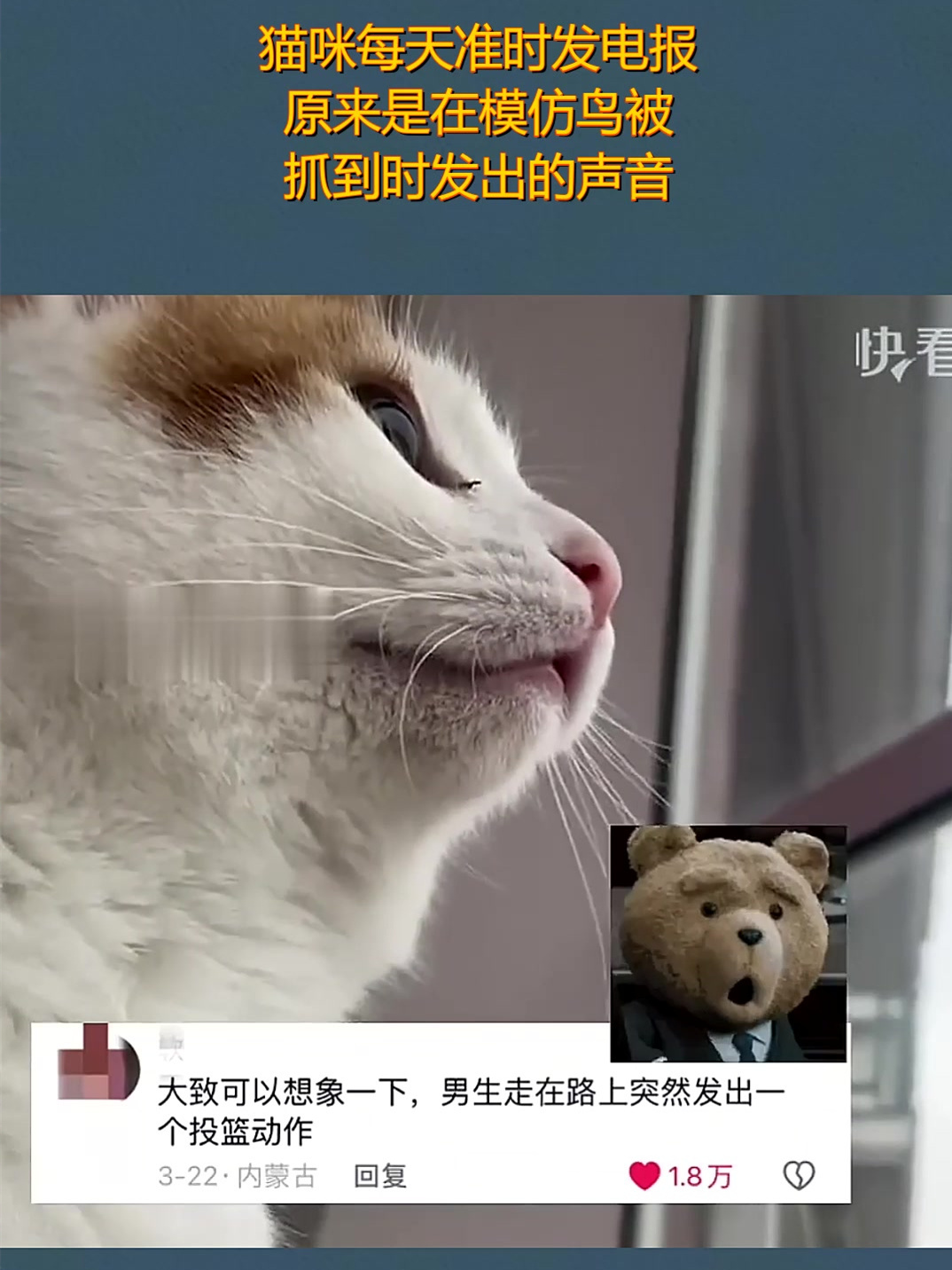 电报猴原本声音-电报猴配音原视频