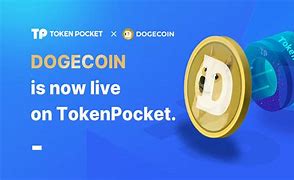 tokenpocket安卓-pocketphoto官网下载