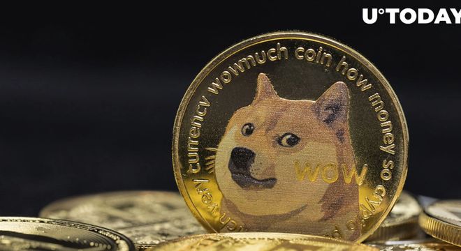 狗狗币钱包4.0-狗狗币钱包密码忘记了怎么办