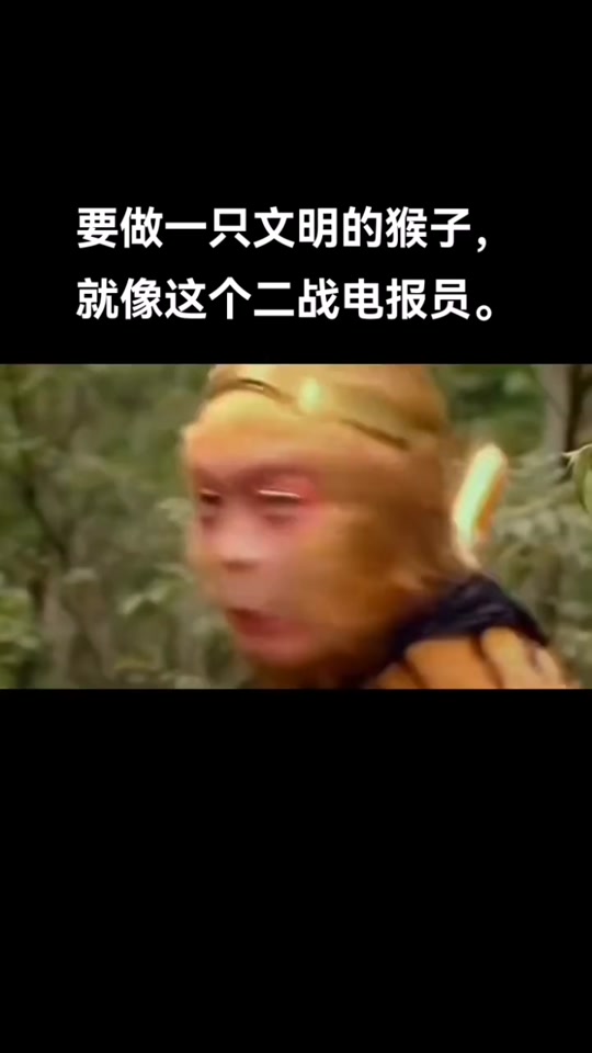 二战电报员梗-电报员是什么梗