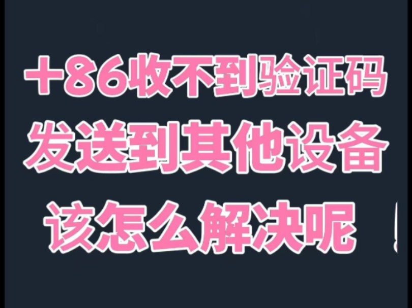 纸飞机网页版登陆收不到验证码-纸飞机app为什么我的手机号不发验证码
