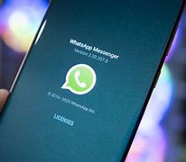 包含whatsapp.org的词条