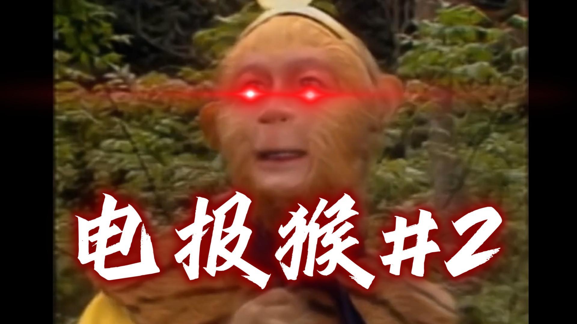 满级电报猴-满级电报猴子