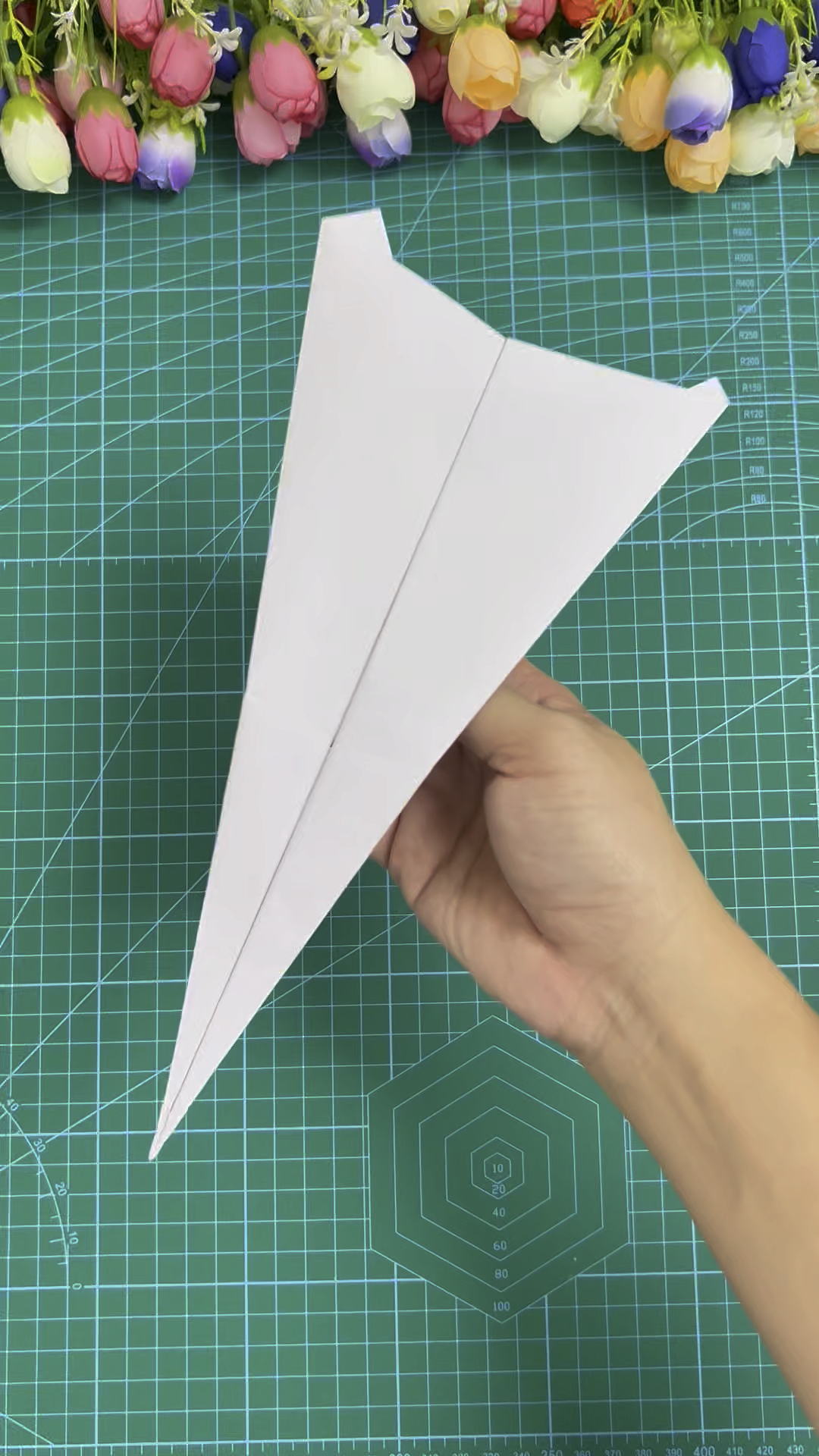 纸飞机这么注册-纸飞机怎么注册登录