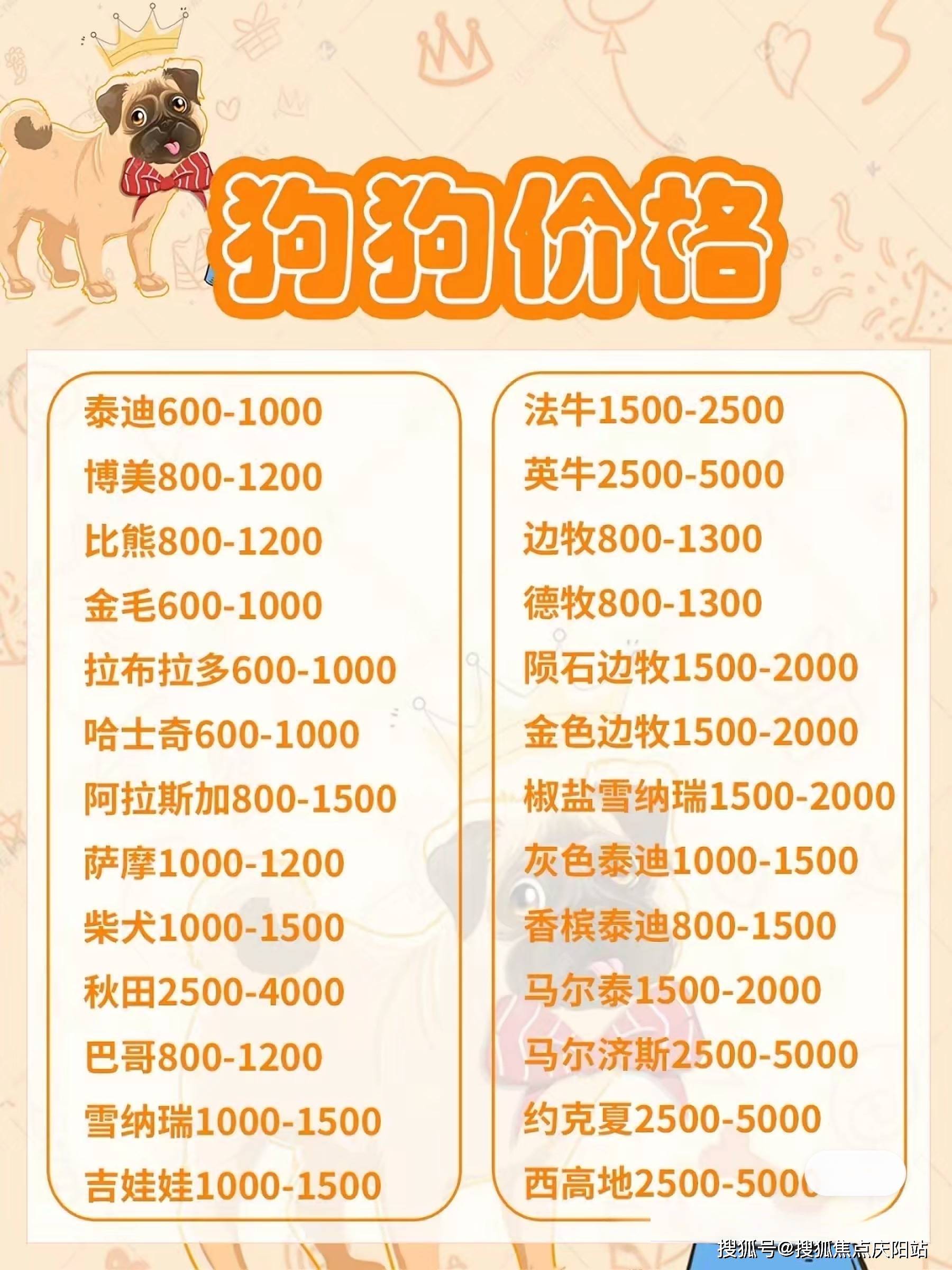 狗币实时行情美元计价-狗币的今日价格美元狗币美元